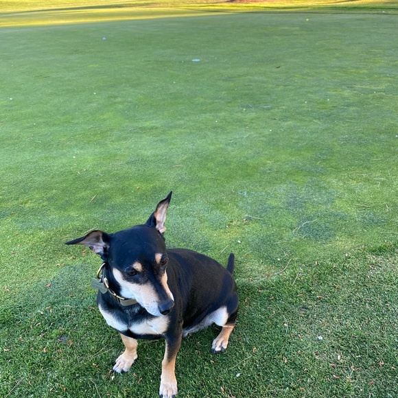 Meet your Posher, Gladys - Picture 4 of 4